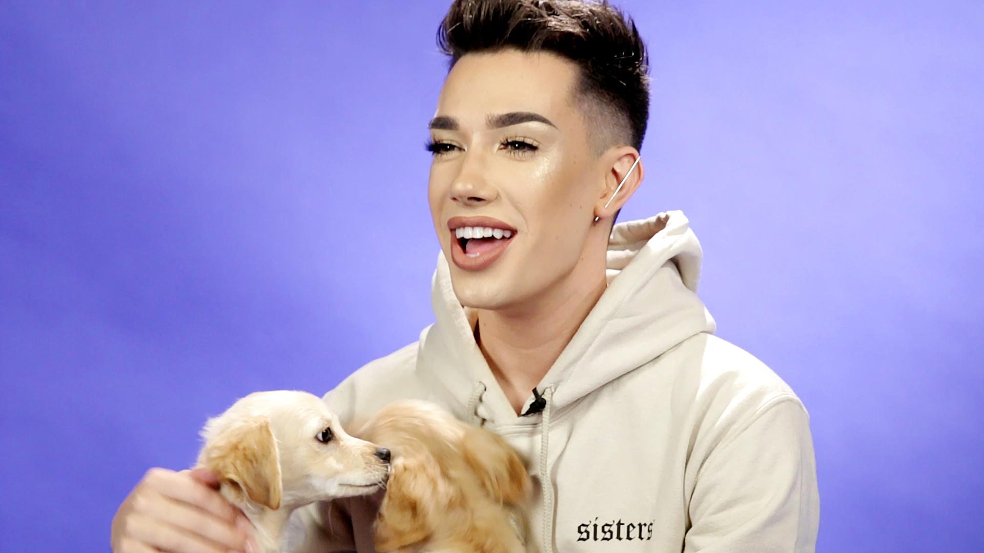 James Charles Plays With Puppies While Answering Fan Questions
