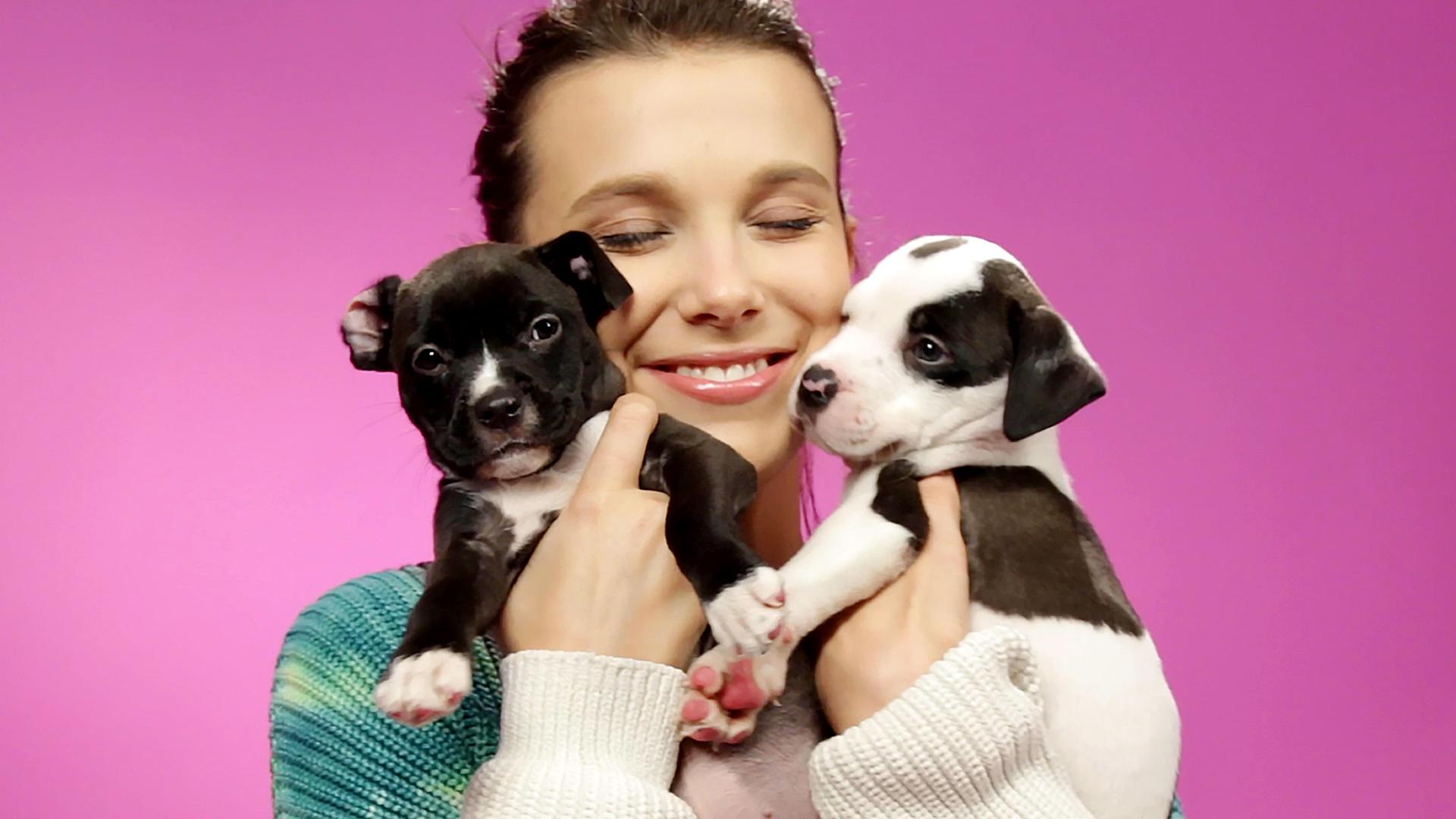 Millie Bobby Brown brinca com filhotinhos enquanto responde perguntas de fãs - BuzzFeed Brasil