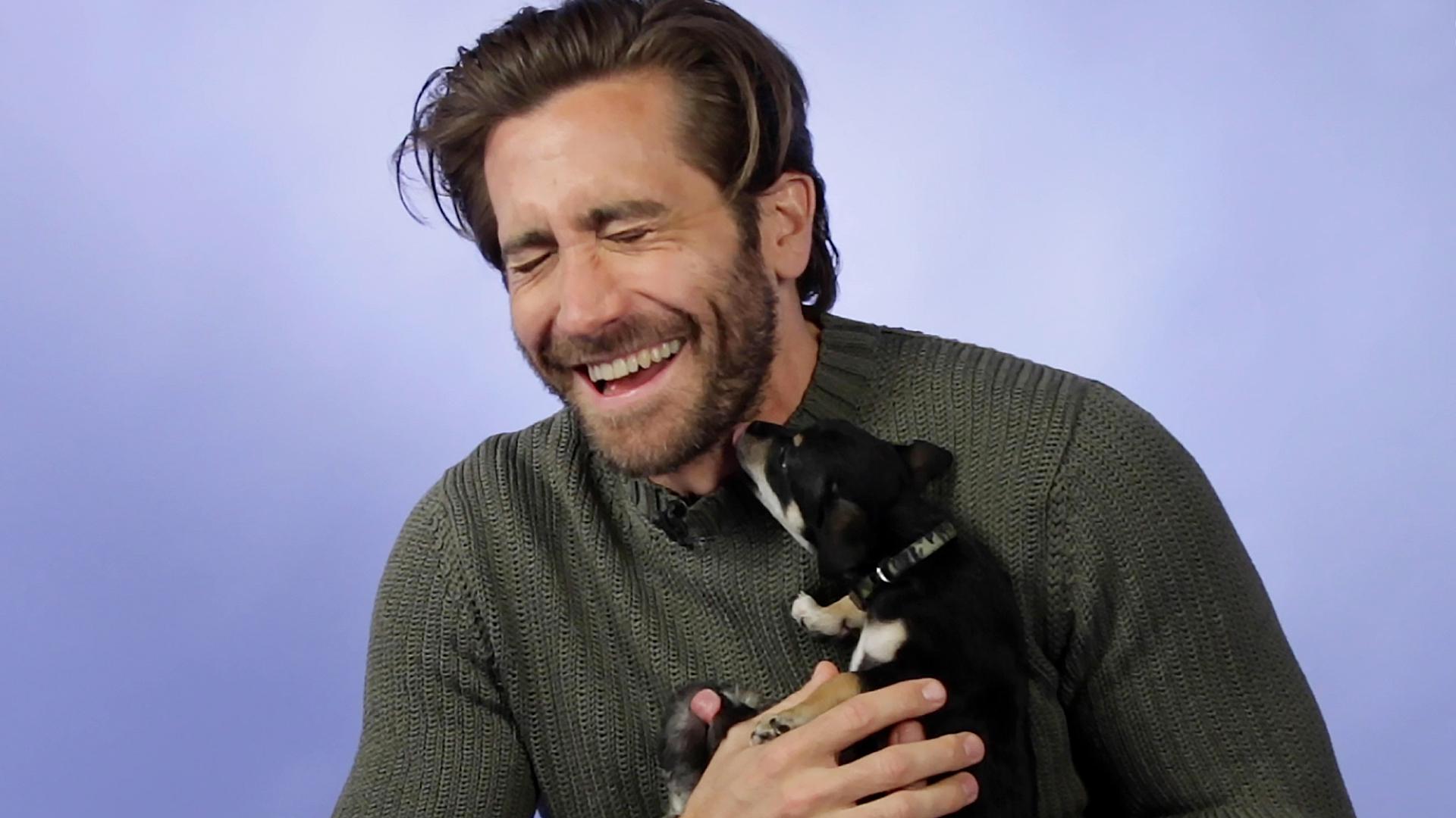 Jake Gyllenhaal responde perguntas dos fãs enquanto brinca com filhotes.