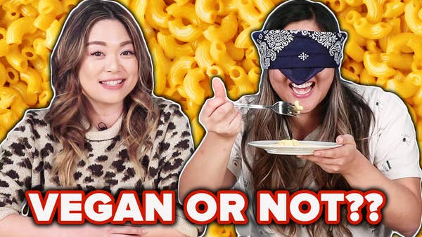 Meat Eaters Guess the Vegan Food: Mac & Cheese