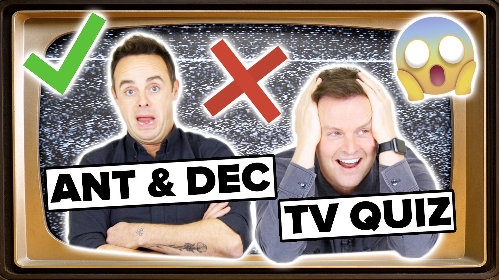 Are ant and dec gay