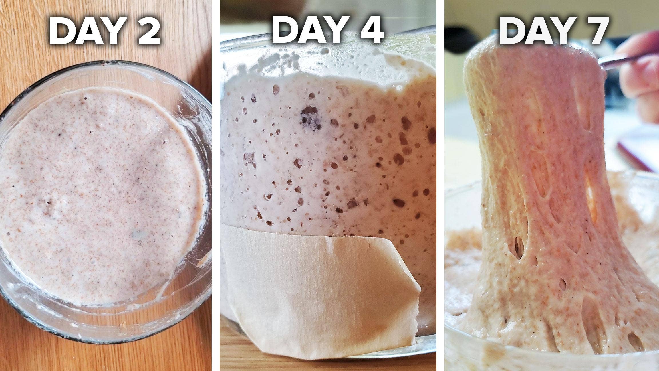 Sourdough Starter Recipe By Tasty