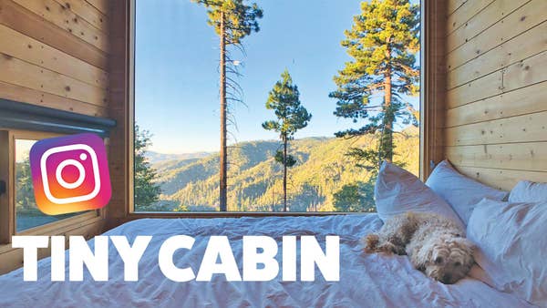 Dog in front of a large window in a tiny cabin