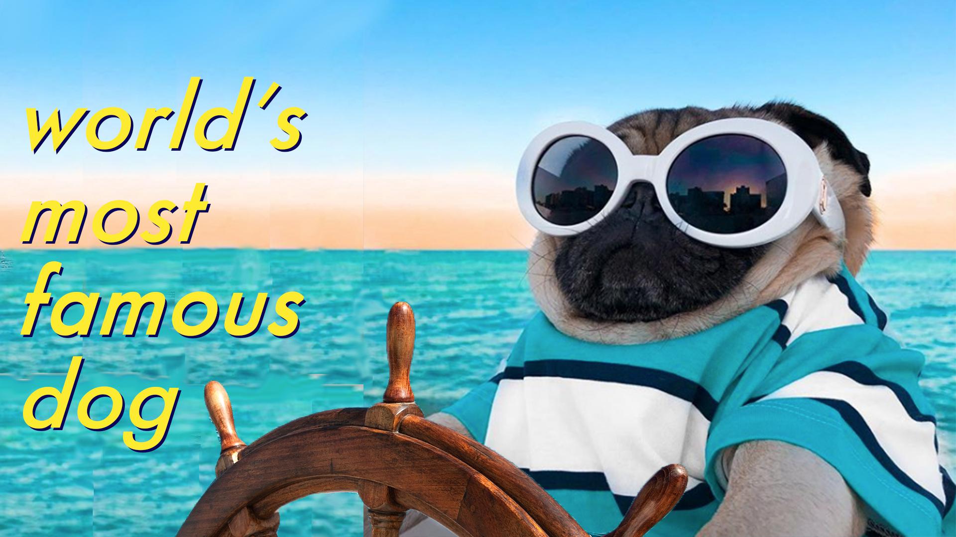 Doug the Pug