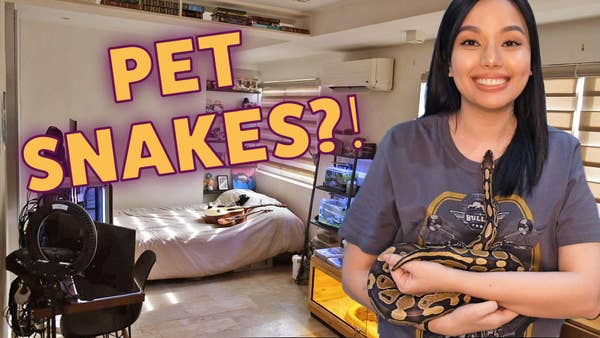 Woman holding a snake in front of a bedroom along with text that says
"pet snakes!?"