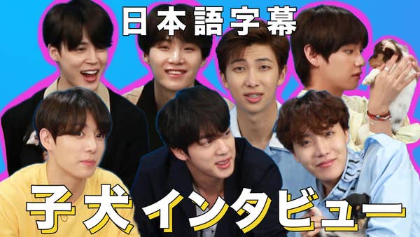 BTSが子犬たちに囲まれながらファンの質問に答えます！