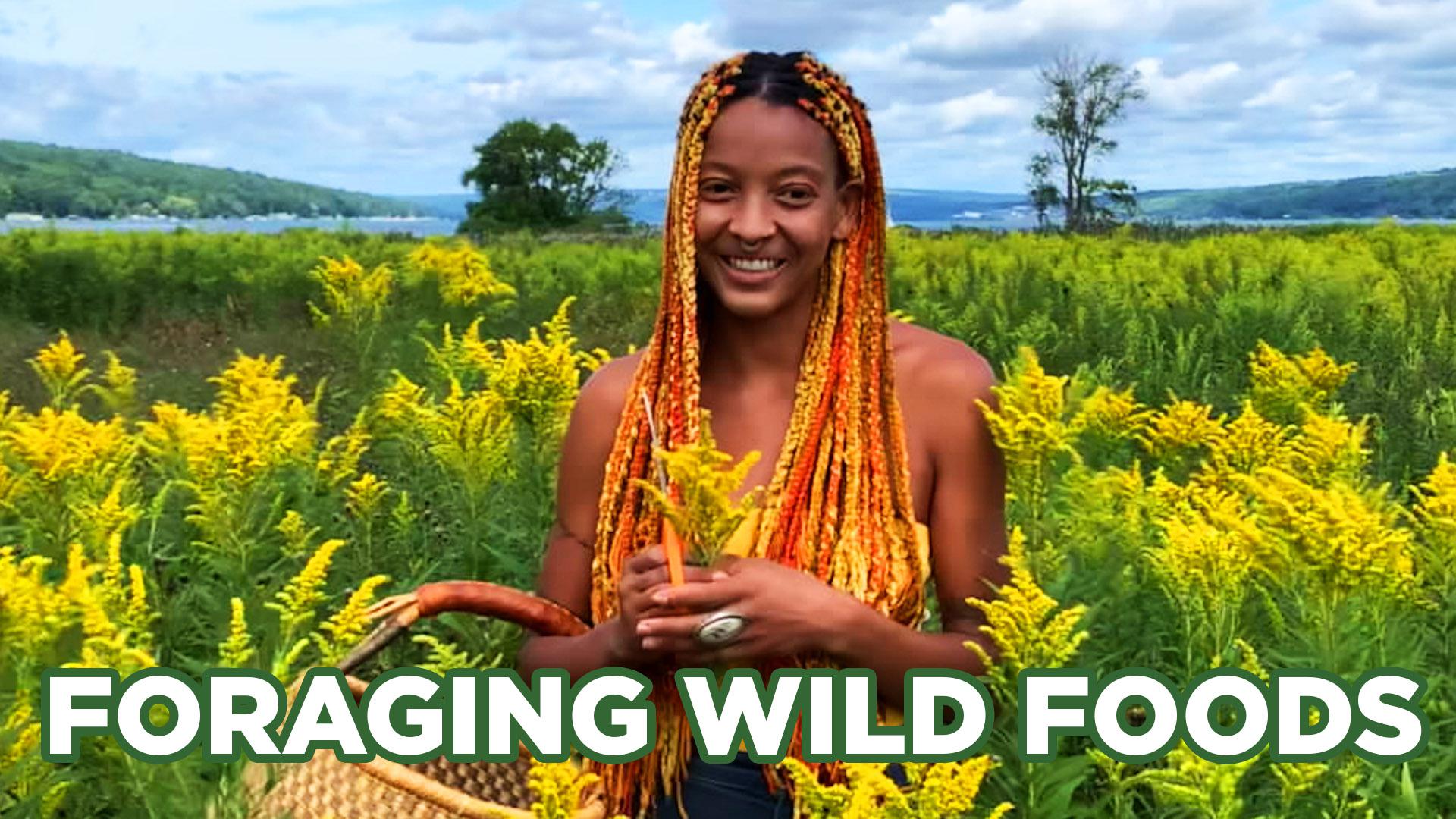 person in a field of goldenrod flowers