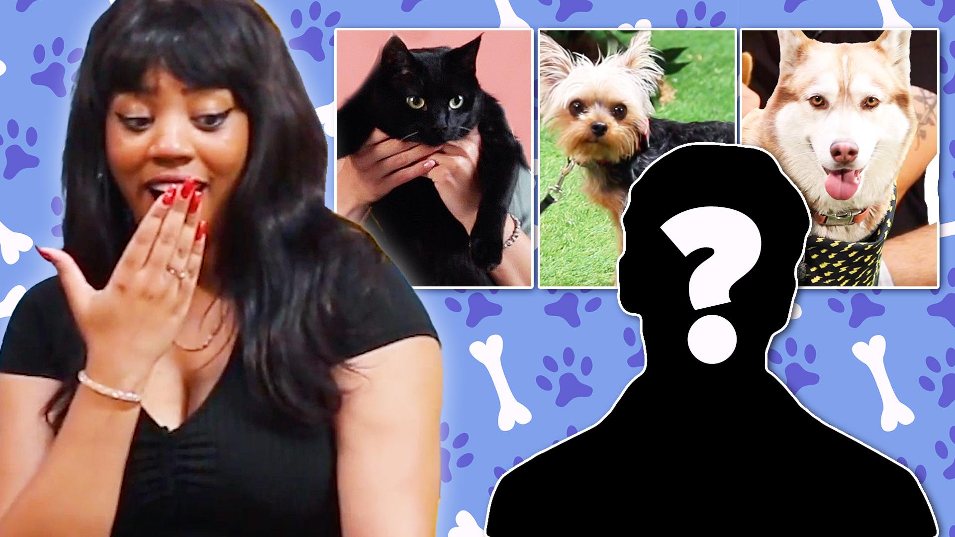 Ciel with pictures of pets and a silhouette of a person with a question mark over them.