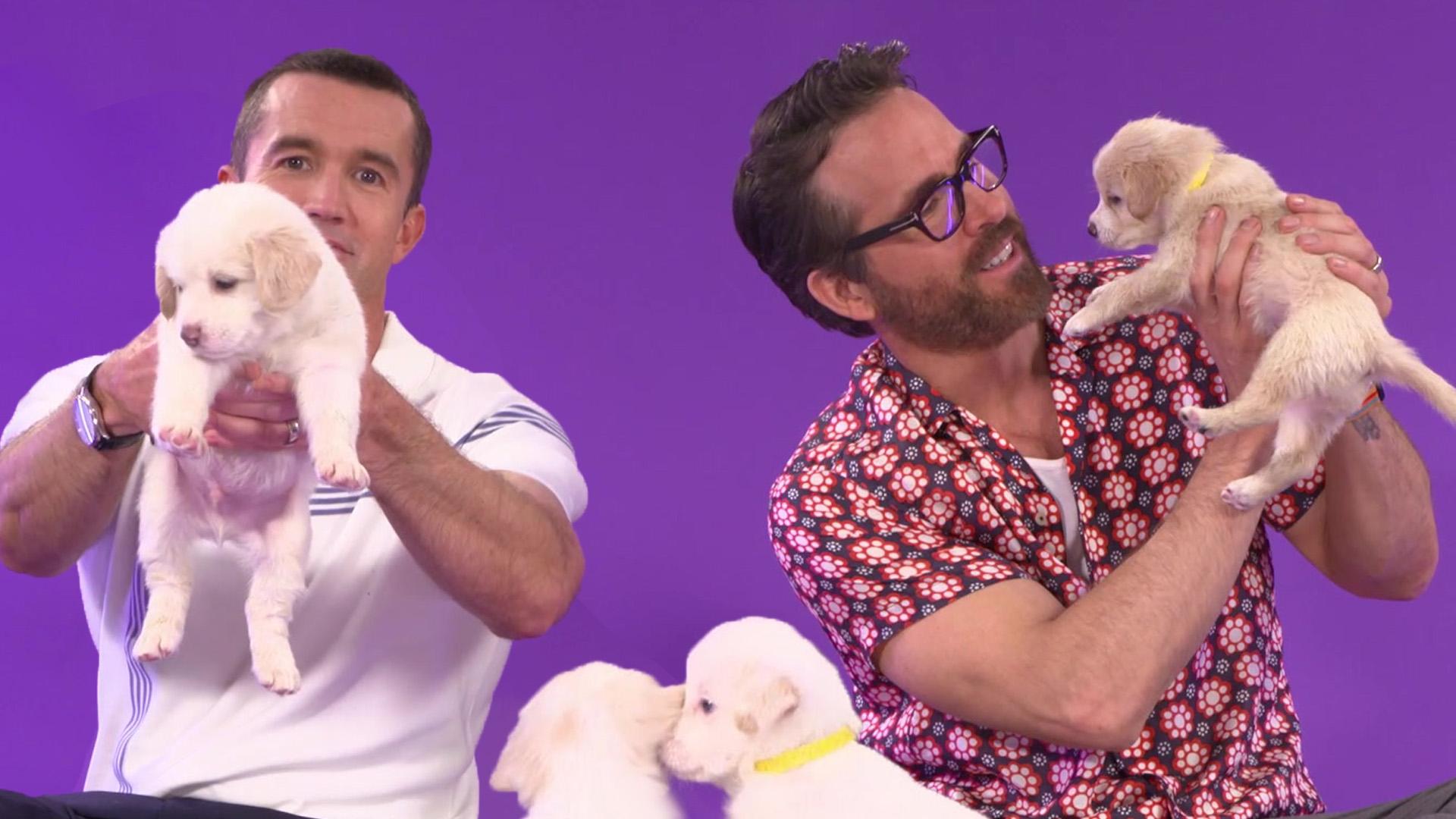 Ryan Reynolds and Robert McElhenney: The Puppy Interview