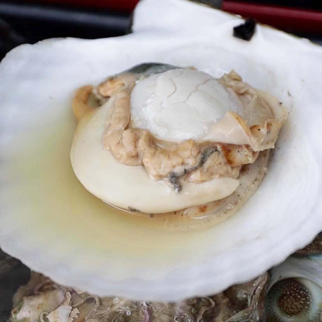 洋書 魚貝 レシピ 料理 Shellfish 洋書 魚貝 レシピ 料理 Shellfish
