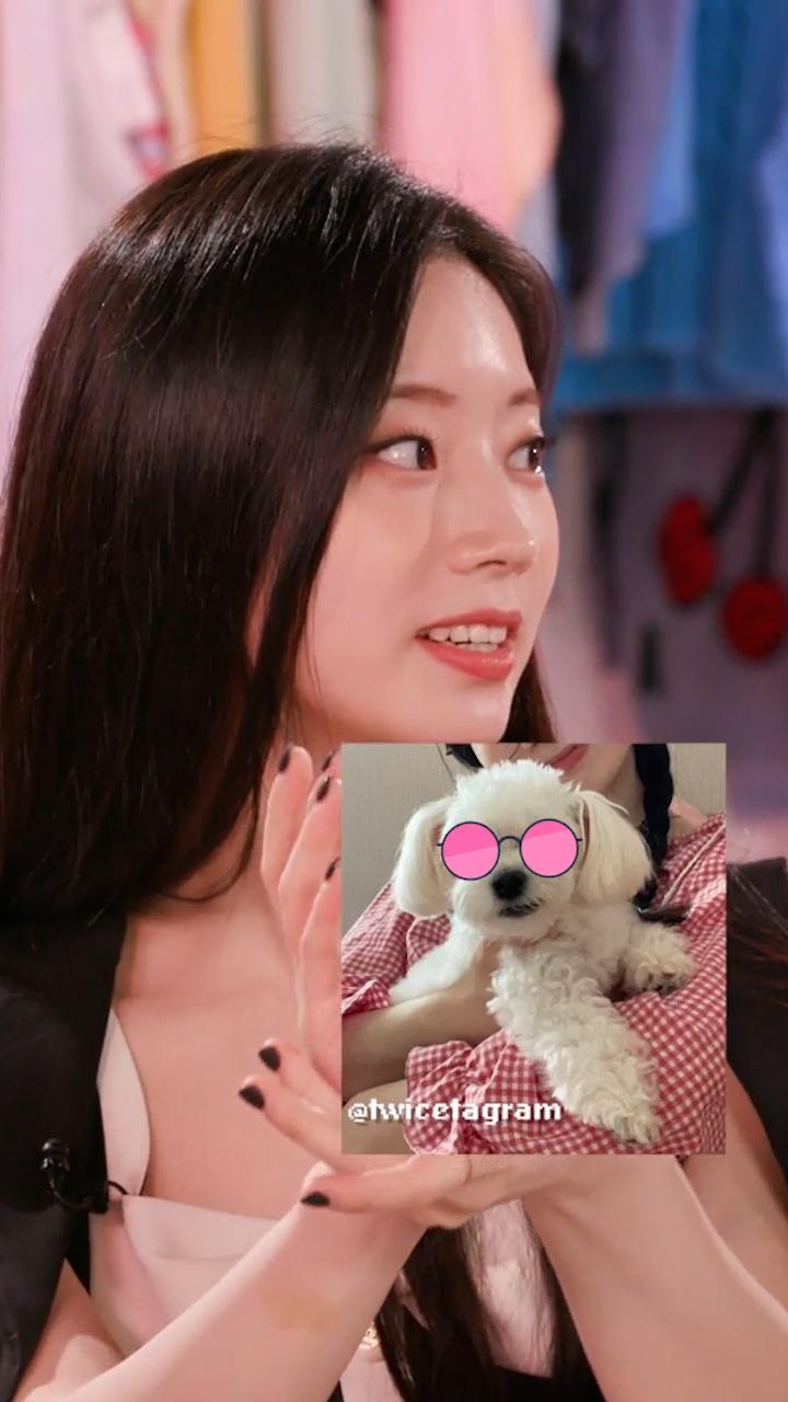 A KPop Group Styled Me For A Week Feat. TWICE Pets
