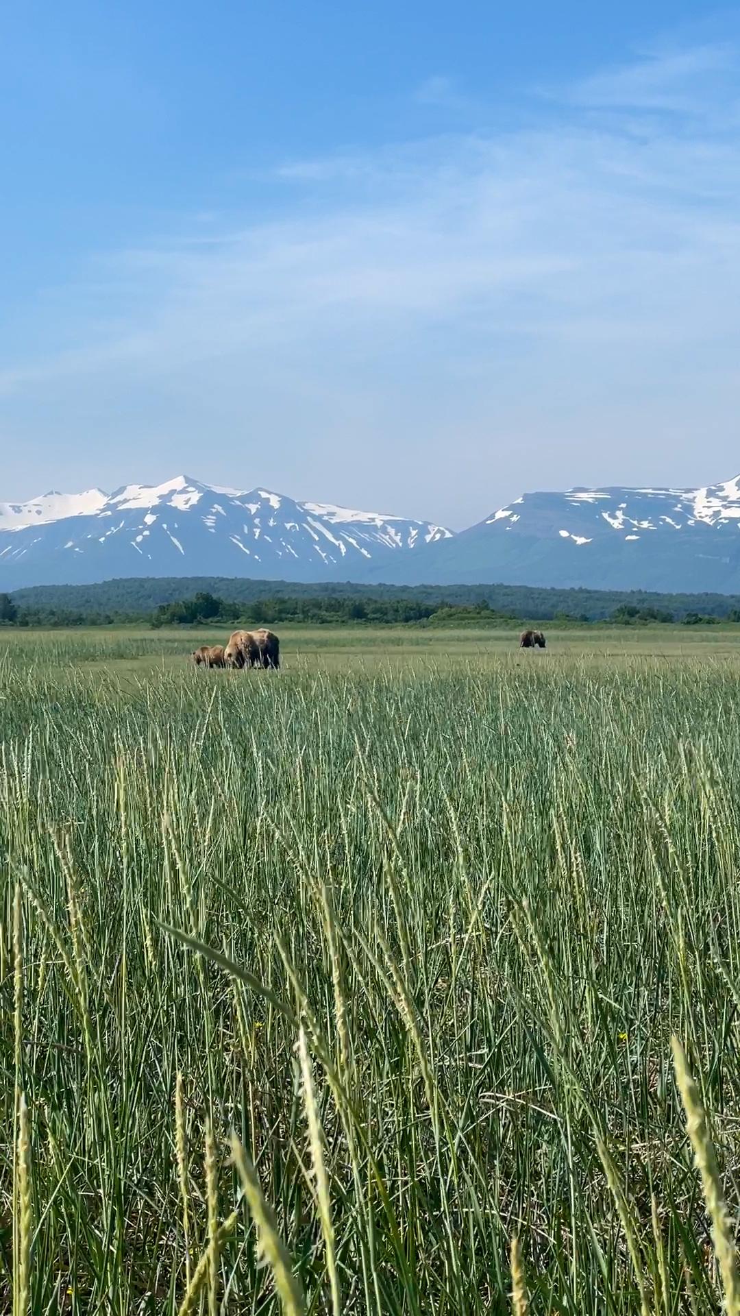 5 beautiful places you should visit in alaska