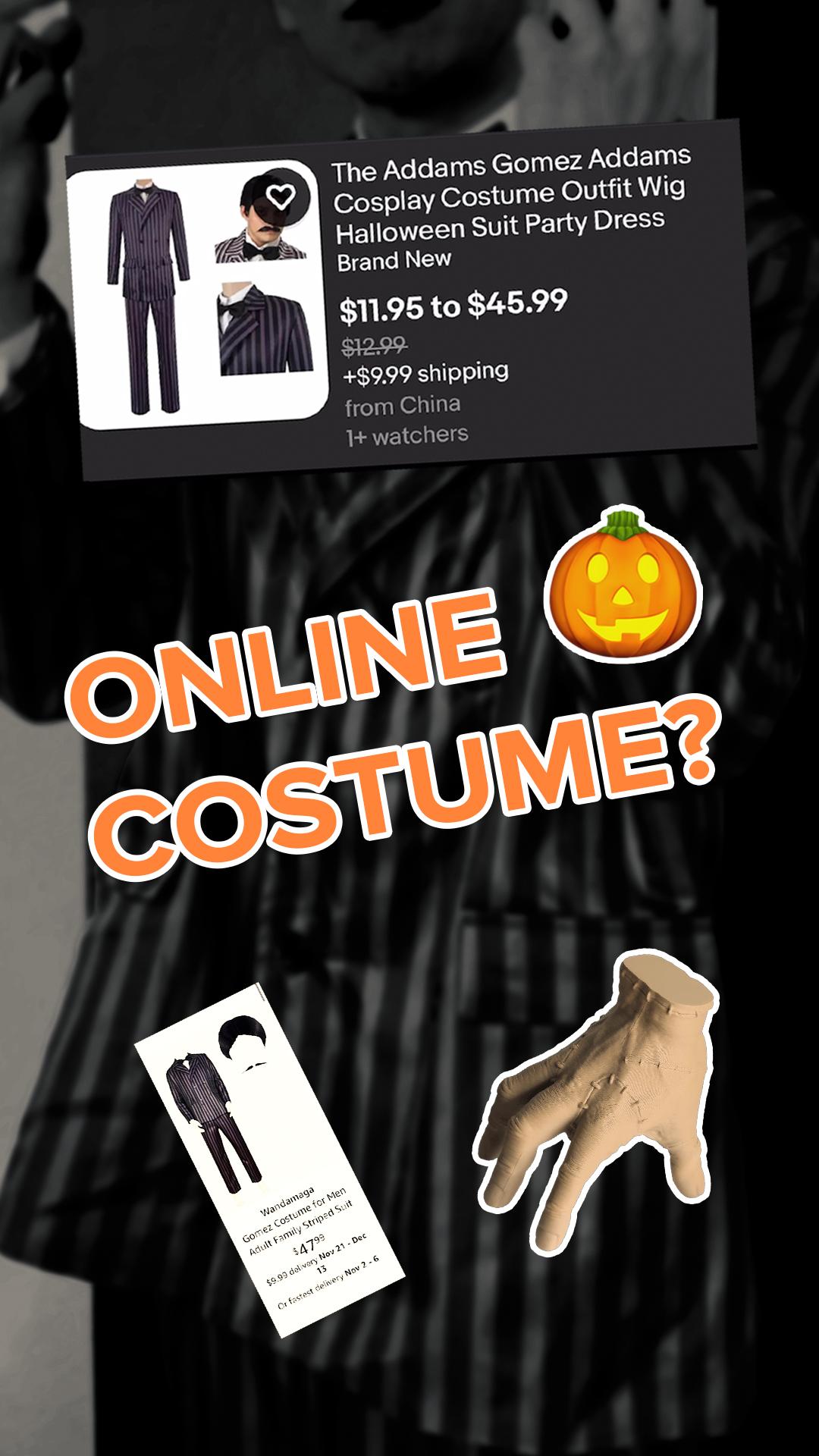 Online halloween costume and what arrived
