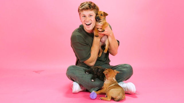 Tony Hawk: The Puppy Interview | Jack Black