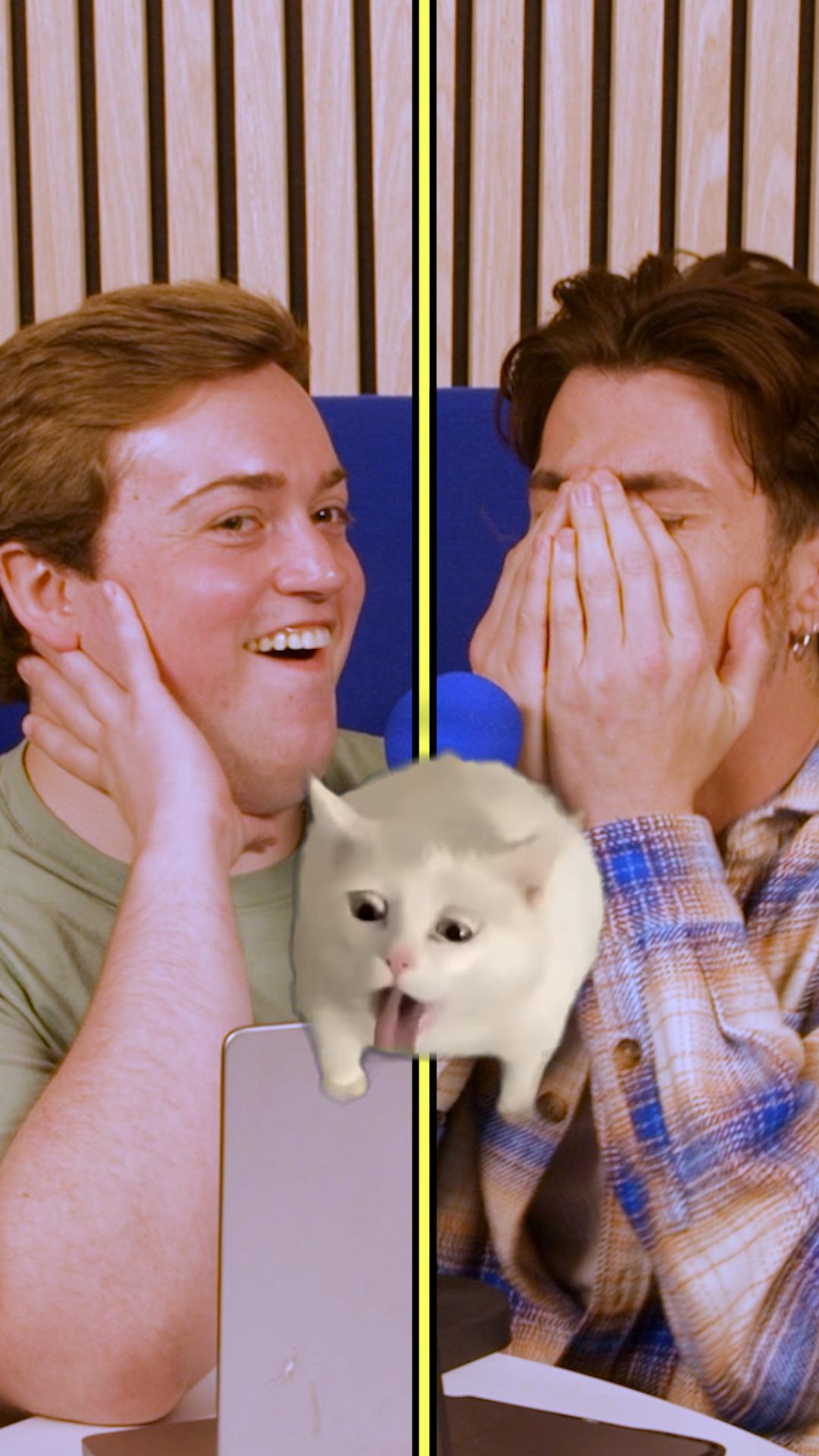 Dylan watches as Alex struggles to eat a dried bug as penalty for not answering a question. A cat dry-heaves on screen.