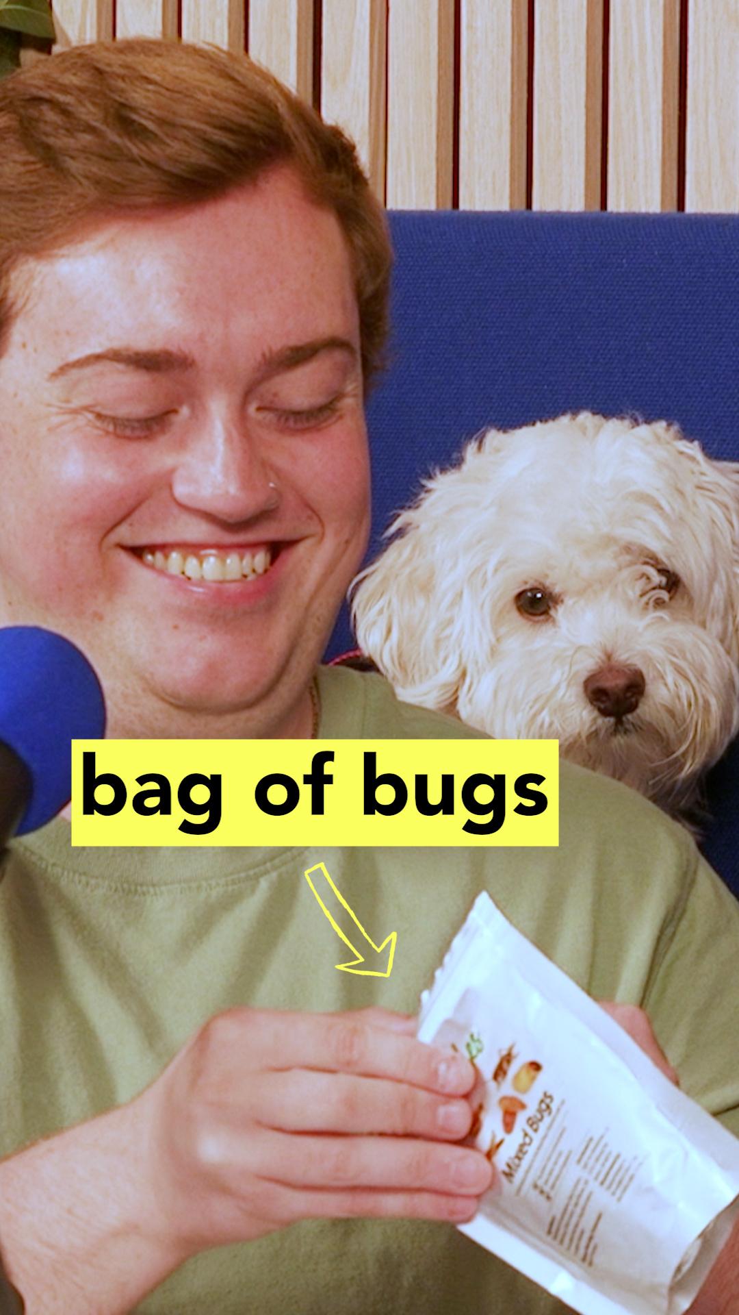 Dylan grabs Alex's punishment bug from the dried bug bag.