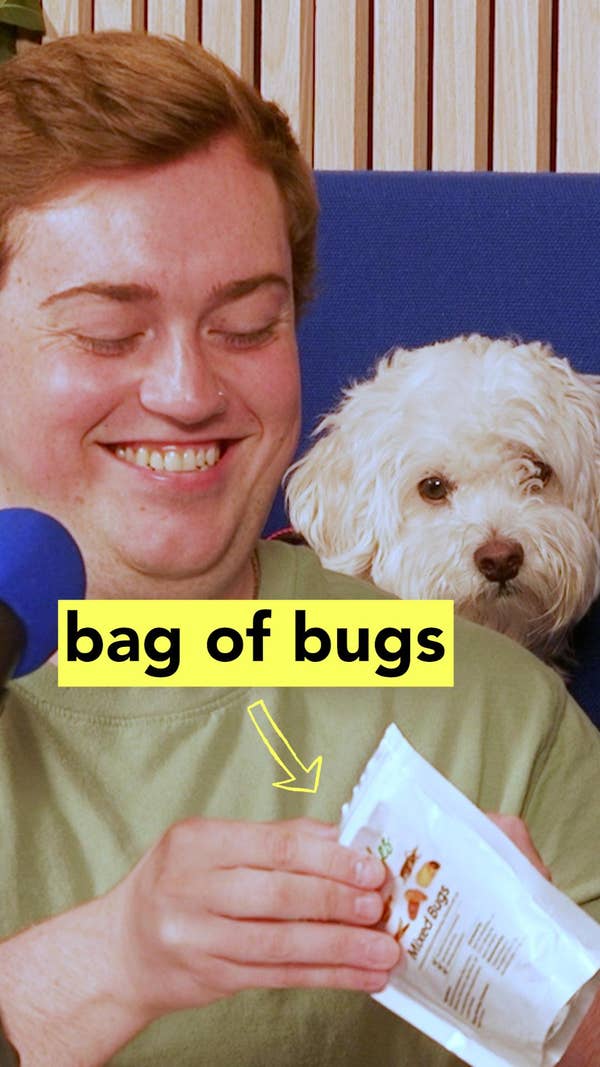 Dylan grabs Alex's punishment bug from the dried bug bag.