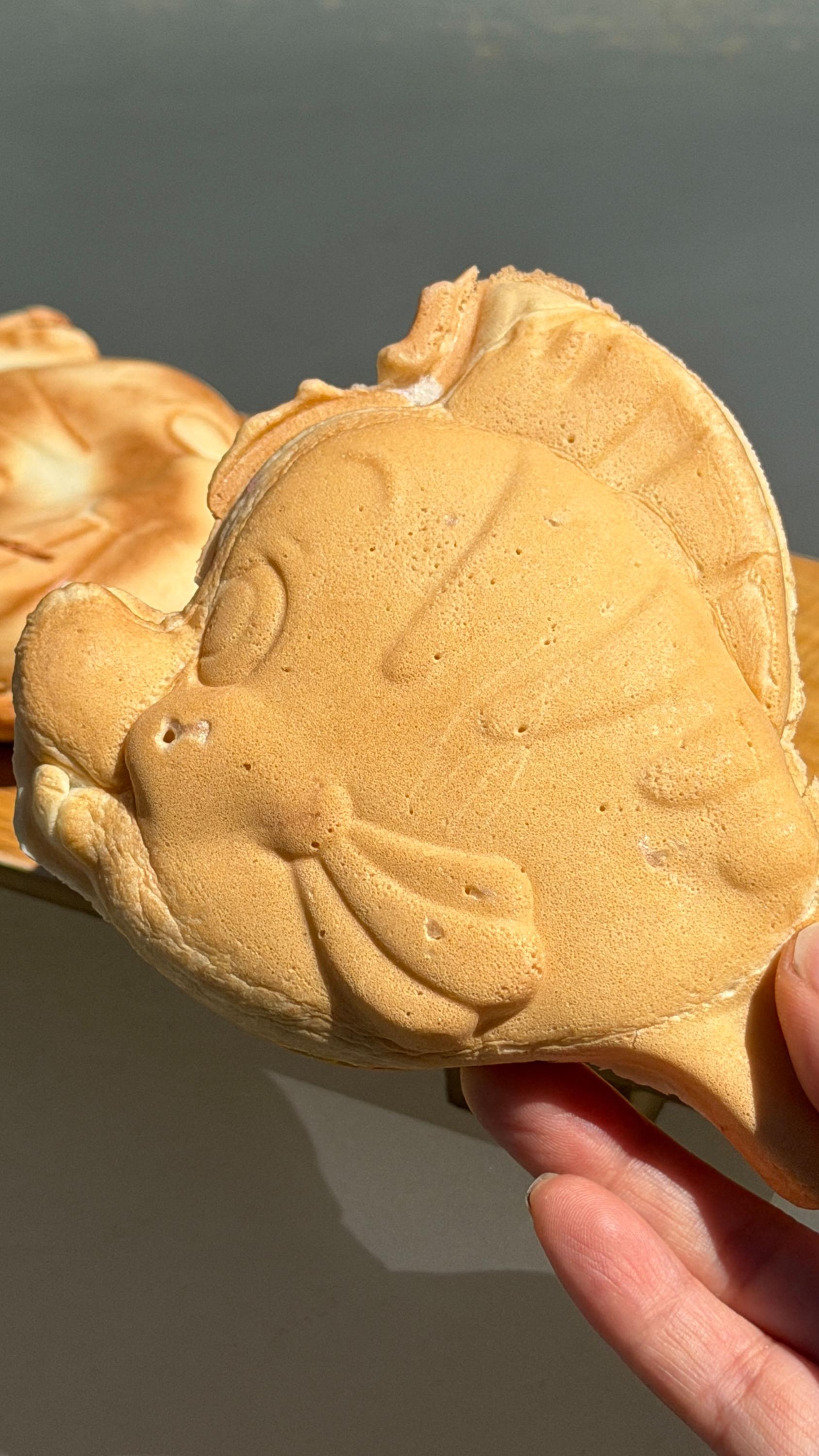 Homemade Stovetop Taiyaki
