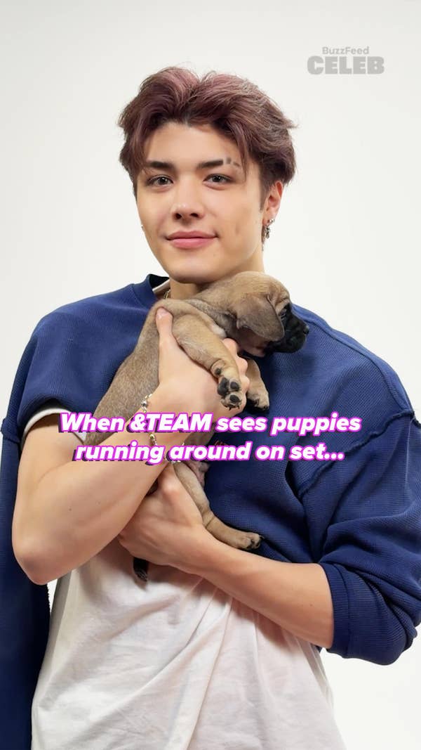 &TEAM: The Puppy Interview | Behind-the-scenes