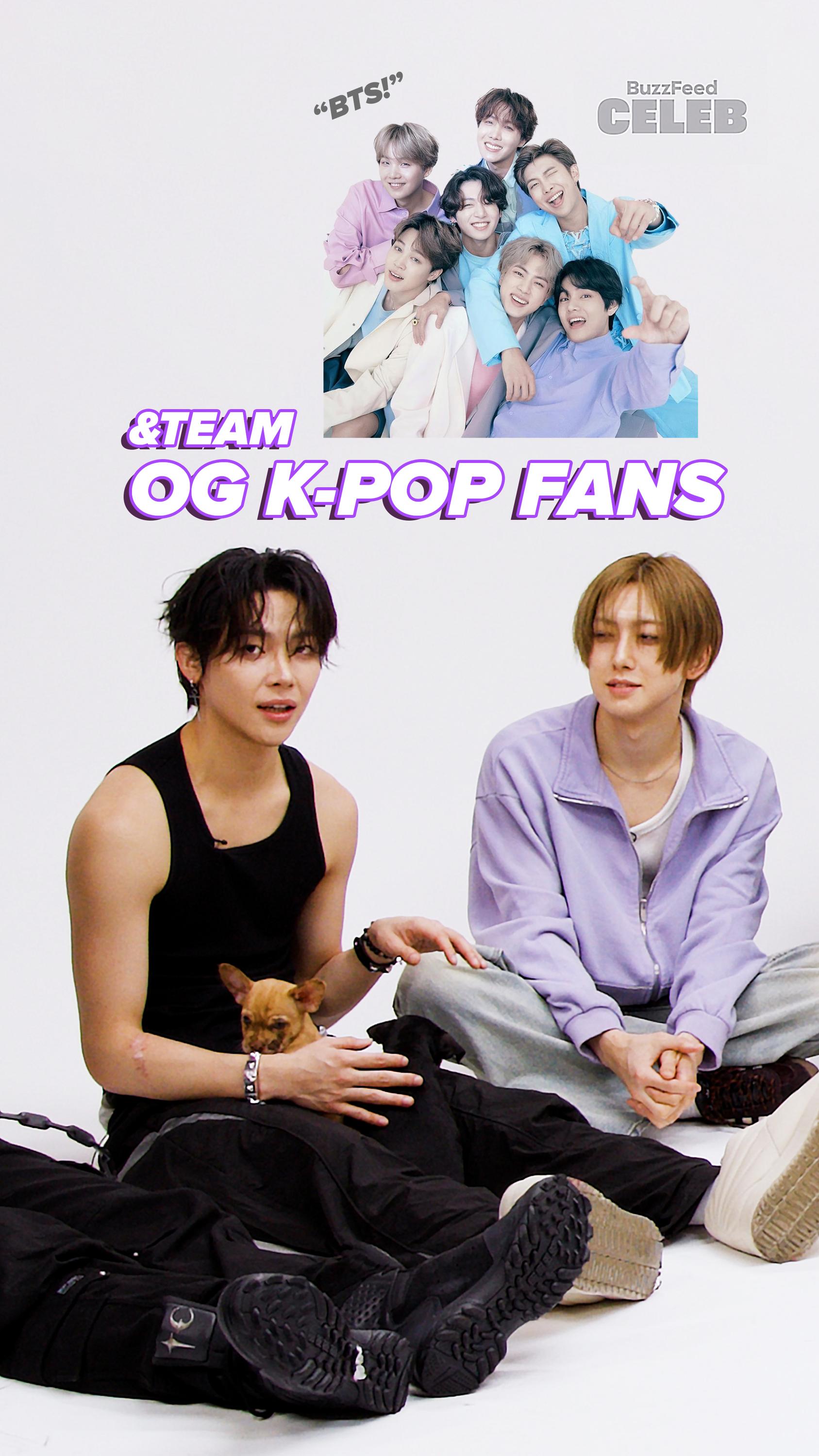 &TEAM: The Puppy Interview | Seeing BTS