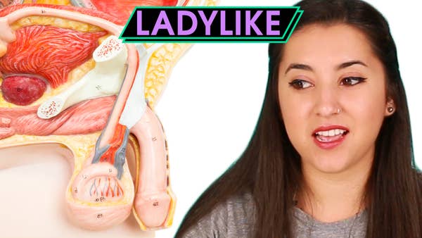 Women Take A Middle School Sex Ed Quiz • Ladylike 