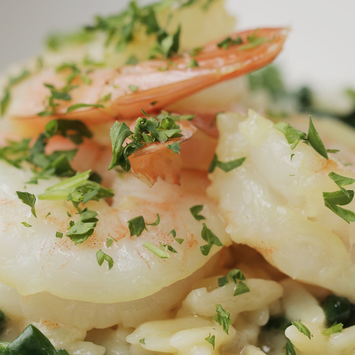 One Pan Creamy Garlic Shrimp Risotto - It's Cheat Day Everyday