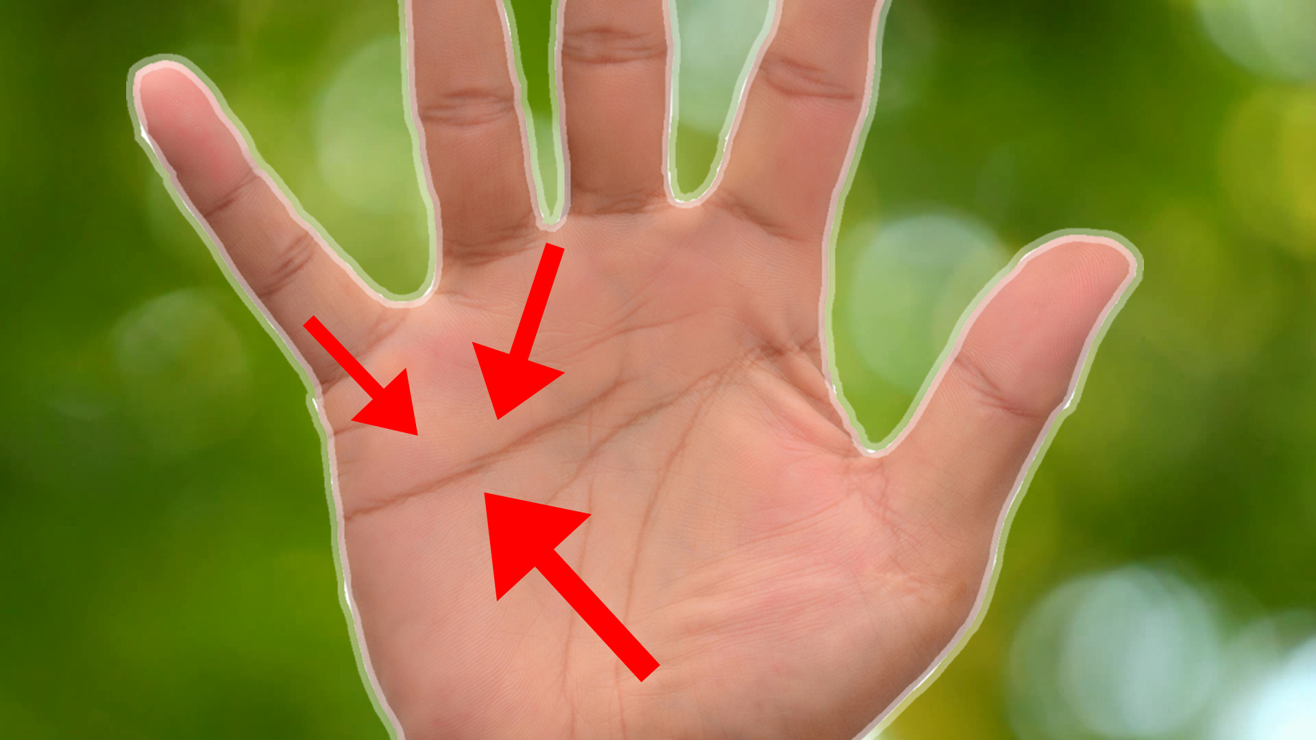 Palmistry. Live Palm Reader - Palmistry & Daily Horoscopes.