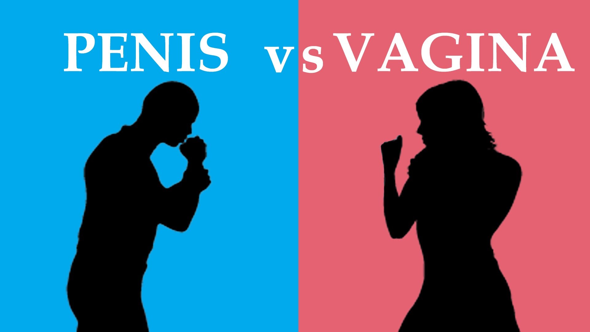 wijk verhoging geluk Penis vs Vagina