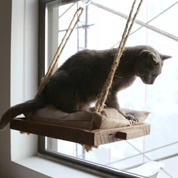 Buzzfeed Video Diy Cat Window Perch